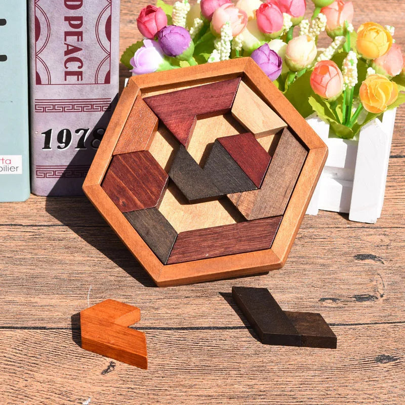 Hexagon Wooden Brain Teaser